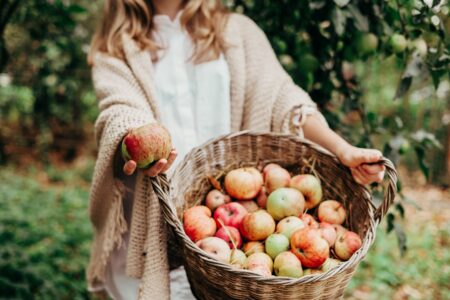 Fruit picking southern california